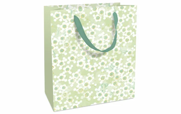Top 10 👏 Braun + Company Sac Cadeau Jolie 18 X 21 X 8 Cm, Vert – Emballage Cadeau ✨ 1