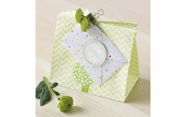 De gros 😍 Heyda Sac En Papier 12 Pièces Vert – Emballage Cadeau ❤️ 4