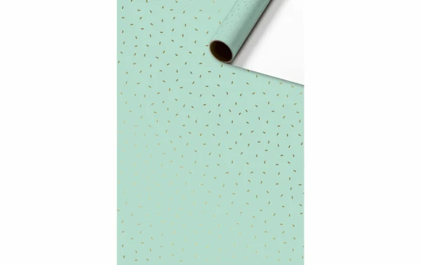 Top 10 ✨ Stewo Papier Cadeau Care 70 Cm X 2 M, 70 G/m², Vert – Emballage Cadeau 😍 1