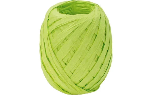Le moins cher 👍 Stewo Ruban Cadeau Raphia Vert Clair – Emballage Cadeau ❤️ 1