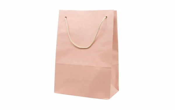 Tout neuf ⌛ Braun + Company Sac Cadeau Uni Rosa, Moyenne – Emballage Cadeau 🔔 1