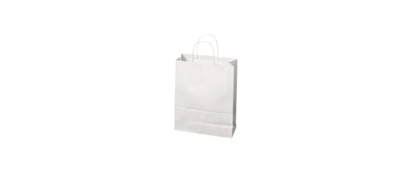 Budget 🥰 Brieger Sac En Papier 24 X 11 X 31 Cm, Blanc – Emballage Cadeau 👍 1